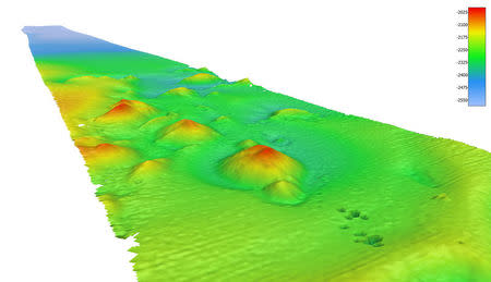 An image of the ocean floor is seen in this graphic received via Henry Gilliver of the Nippon Foundation - GEBCO Seabed 2030 Project (Copyright Fugro), in London, Britain May 22, 2018. The image shows color coded bathymetry showing seamounts on the seabed. Henry Gilliver of the Nippon Foundation - GEBCO Seabed 2030 Project (Copyright Fugro)/Handout via REUTERS