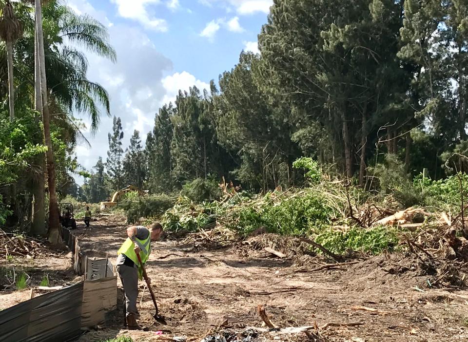 Workers and heavy equipment operators clear the forest off the western end of Ellis Road in October 2018 to allow construction of the Interstate 95 interchange.