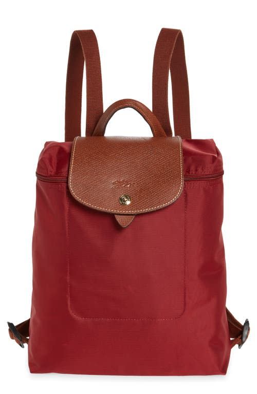 32) Le Pliage Backpack