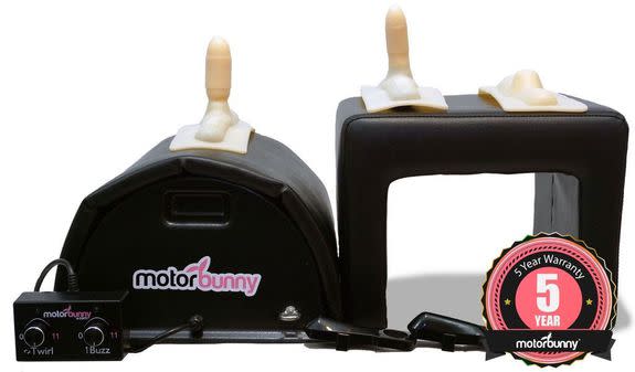 Motorbunny