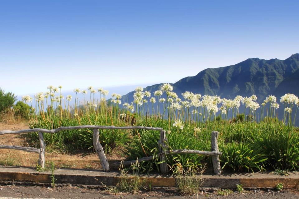 Madeira Islands