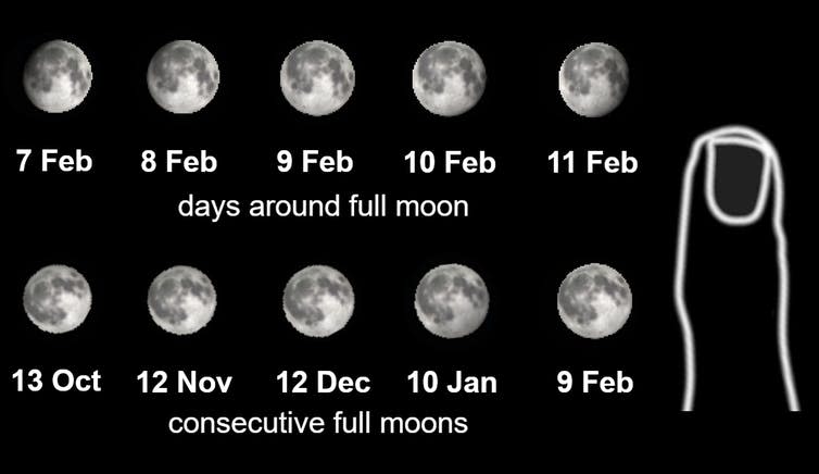 <span class="caption">Size comparisons of the Moon for consecutive days and full moons. Adjust the size of the image on your screen so the little finger on the right is the size of your little finger. Then hold the image at arms’ length to achieve the size of the Moon as you would see it in the sky.</span> <span class="attribution"><span class="source">Daniel Brown</span></span>