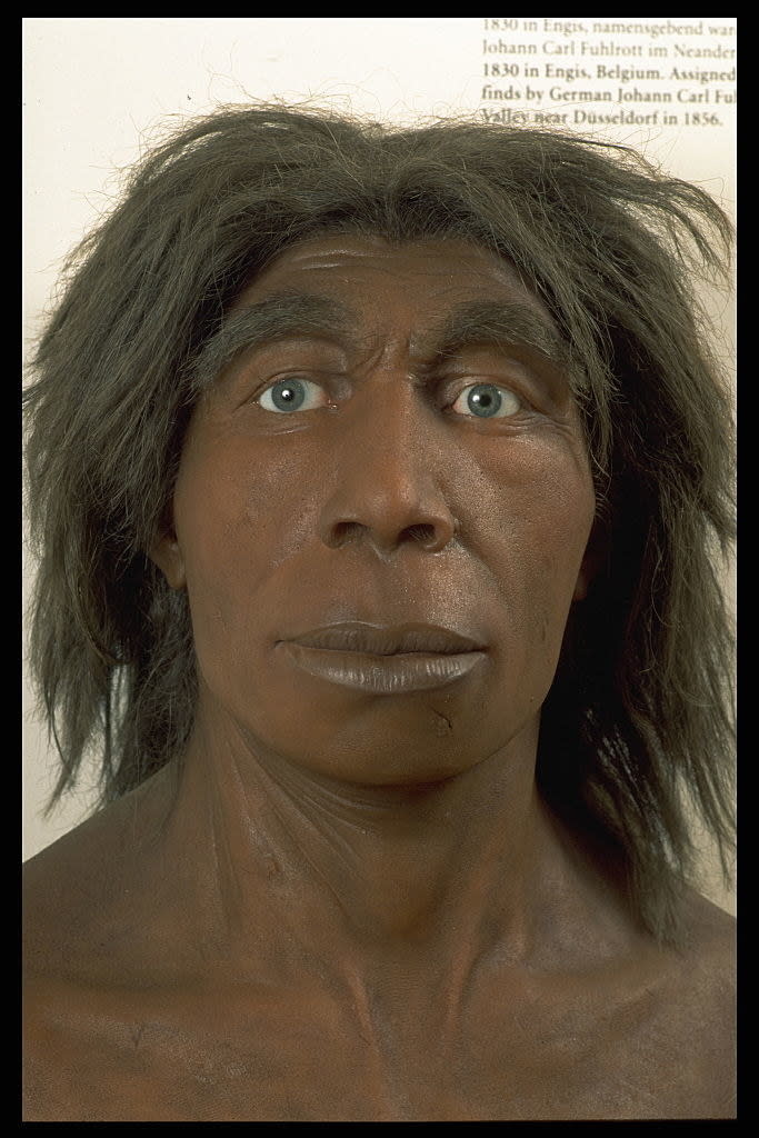 a neanderthal recreation