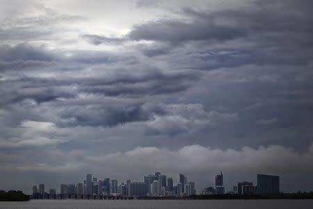 The Miami skyline is pictured from a causeway on a rainy day in Miami, July 21, 2014. REUTERS/Carlo Allegri