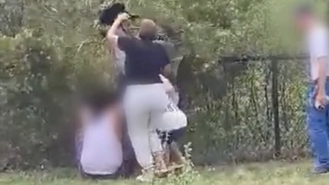 A bear cub being pulled from a tree by a group of people