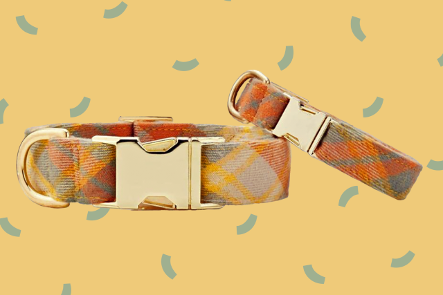 12 Gorgeous Fall Dog Collars to Add to Your Cart Right Now
