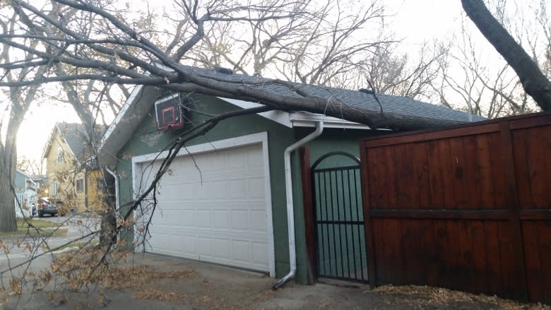 Damaging winds up to 131 km/h tore through Sask. overnight