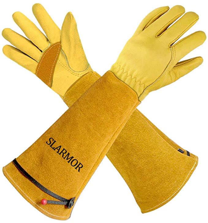 how to get rid of poison ivy slarmor gloves