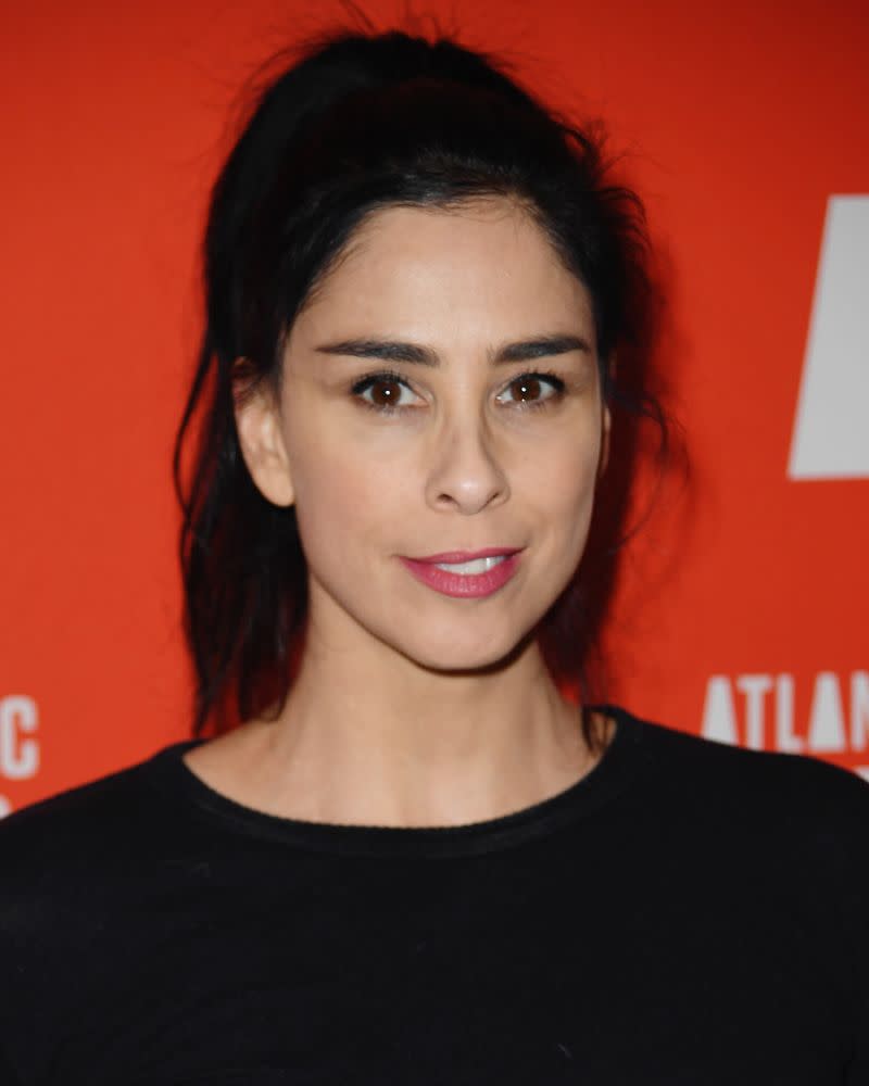 Sarah Silverman möchte, dass Produkte vielfältiger beschrieben werden. (Bild: Nicholas Hunt/Getty Images)