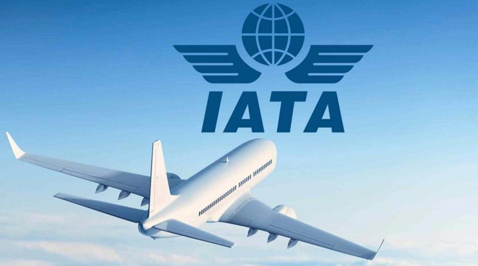 La IATA explicó que la capacidad (medida en toneladas-kilómetros de carga disponibles, ACTK) fue un 1,9 % menor que en noviembre de 2021. Foto: Expreso.info