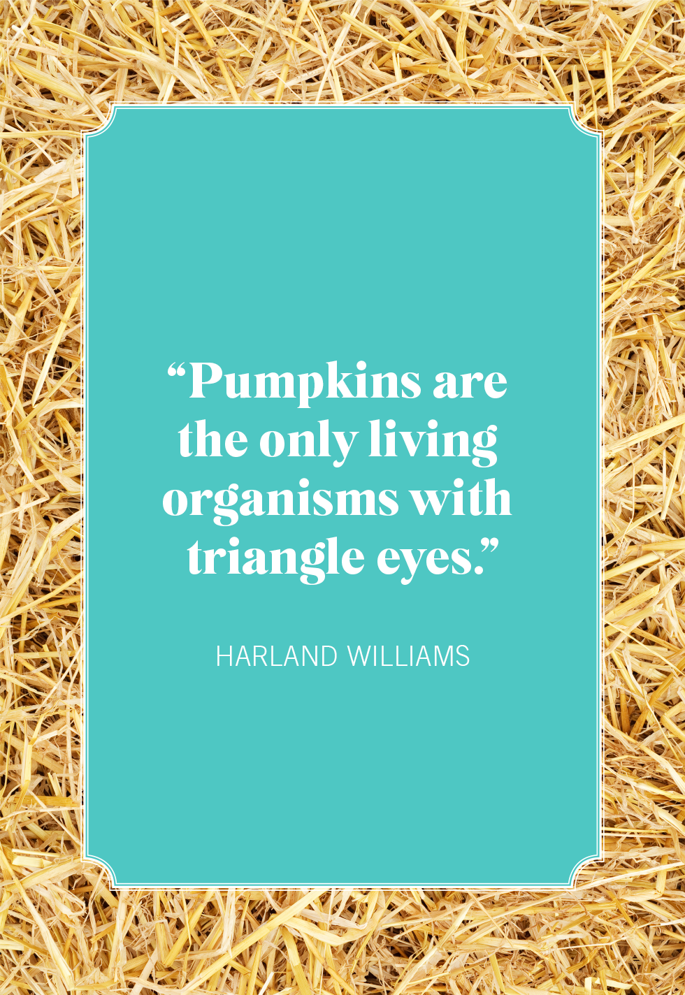 best pumpkin quotes