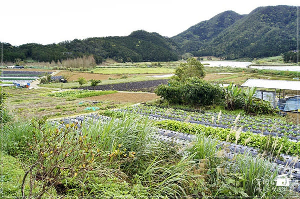 宜蘭縣員山鄉 野夫炊煙