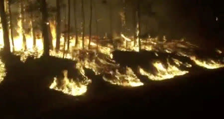 Flames engulf trees in Milton, New South Wales, Australia, August 15, 2018, in this still image taken from video obtained from social media. Fire and Rescue NSW/via REUTERS