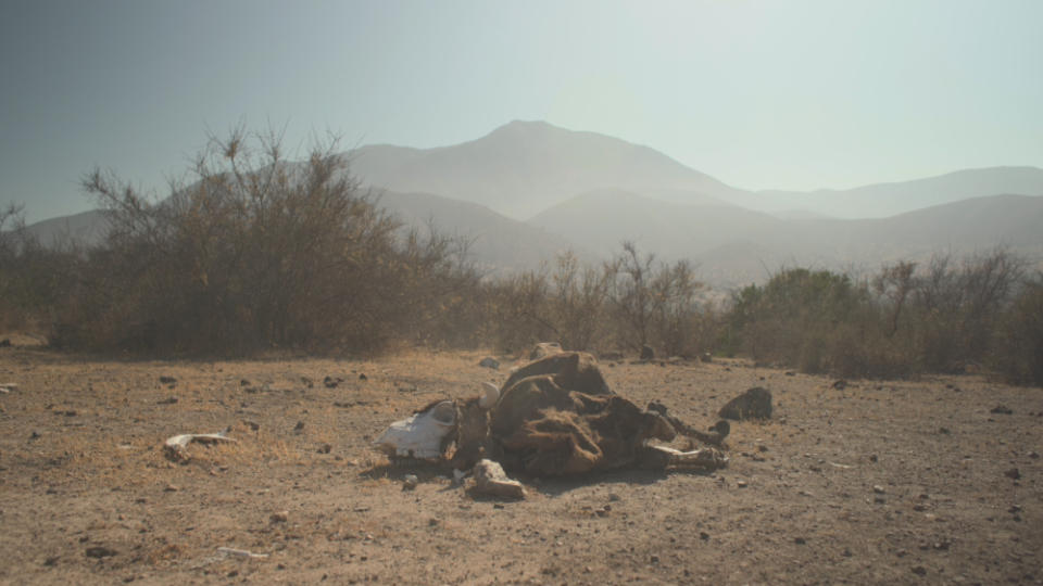 Agua o Muerte