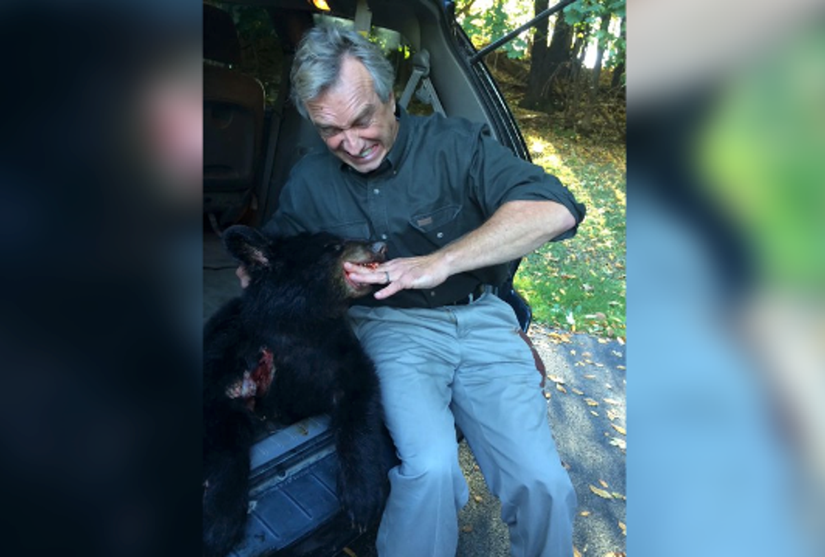 RFK Jr is seen next to a dead bear cub that he dumped in Central Park in 2014 (Brian Stelter/Twiter)