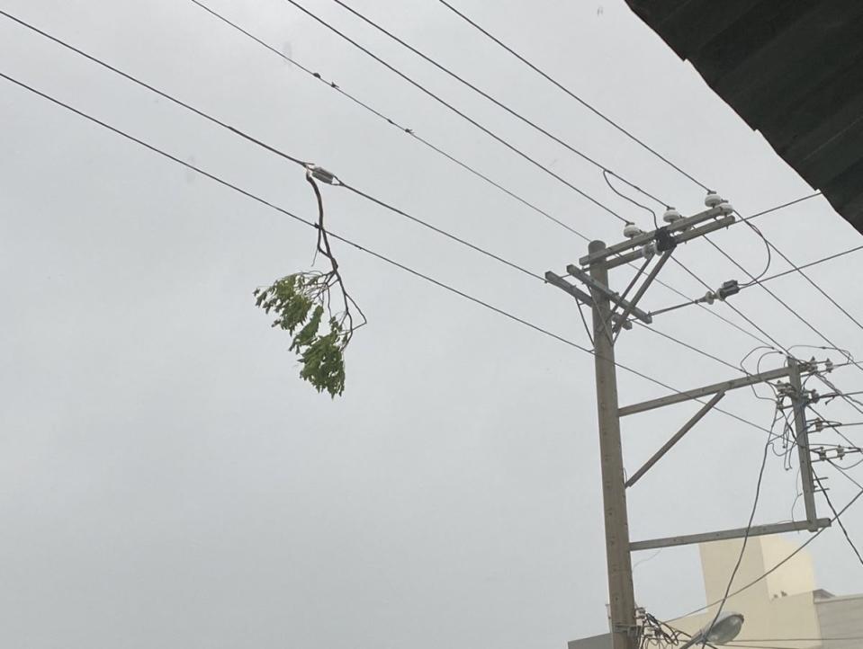 強風不僅把樹枝吹斷，還吹到掛在電線上。（圖：恆春陳先生提供）