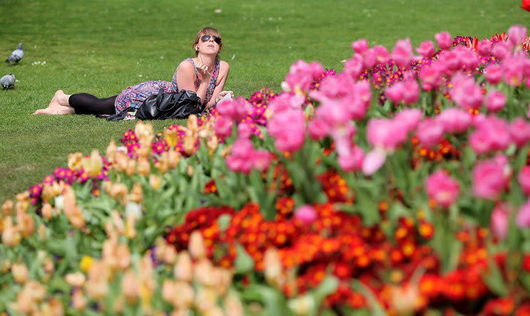 Evitar la naturaleza en épocas de polinización es otra de las recomendaciones de los expertos. (Foto: Getty)