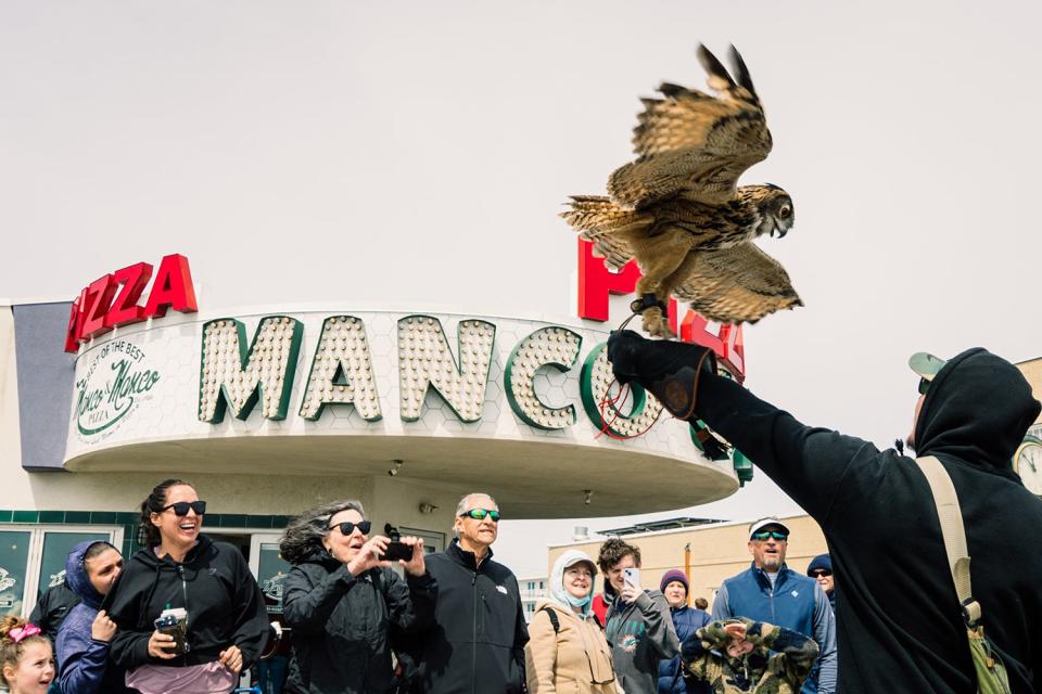 eagle-owl on handler's glove spreads wings as onlookers take photos near pizza restaurant