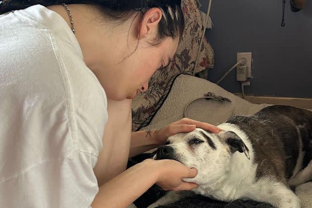 <p>Billie Eilish Instagram</p> Billie Eilish says goodbye to her dead dog Pepper