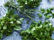 <p>Fresh herbs can be pricey compared to dried ones so you want to be able to use every last leaf. There are two types of herbs — soft herbs and hard herbs. Soft herbs have a bendy, soft stem, like mint, cilantro or basil, which is one of the <a href="https://www.thedailymeal.com/healthy-eating/never-refrigerate-these-20-foods-slideshow?referrer=yahoo&category=beauty_food&include_utm=1&utm_medium=referral&utm_source=yahoo&utm_campaign=feed" rel="nofollow noopener" target="_blank" data-ylk="slk:foods you should never refrigerate;elm:context_link;itc:0;sec:content-canvas" class="link ">foods you should never refrigerate</a>. Hard herbs include rosemary, oregano and thyme, which have a tougher stem you can snap. You can tell they’ve gone bad for soft herbs if the leaves turn slimy, wilted and black. When hard herbs go bad, the leaves usually dry out and tend to change from green to yellow or brown.</p>