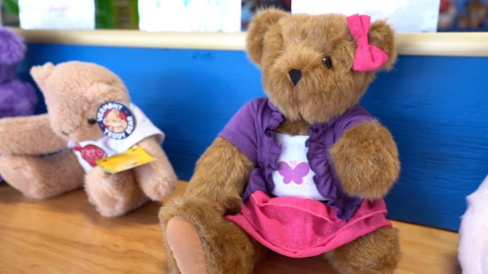 The Limb Loss & Limb Difference Bear, designed by Cassandra Clayton at Vermont Teddy Bear.