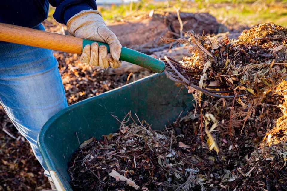 How Much Is a Yard of Mulch DIY vs. Hiring a Professional