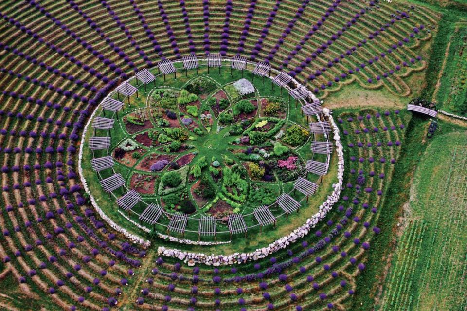 The Lavender Labyrinth at Cherry Point Farm in Shelby, Michigan, is so big that it can be seen on Google Earth.