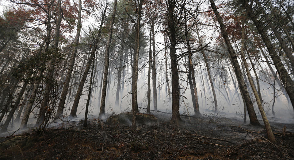 Drought and arson ignite wildfires across the Southeast