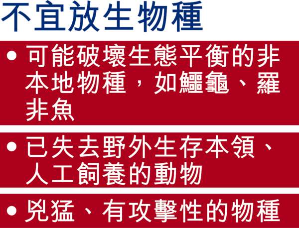 深圳放生兇猛海鰻 小童捱咬縫百多針