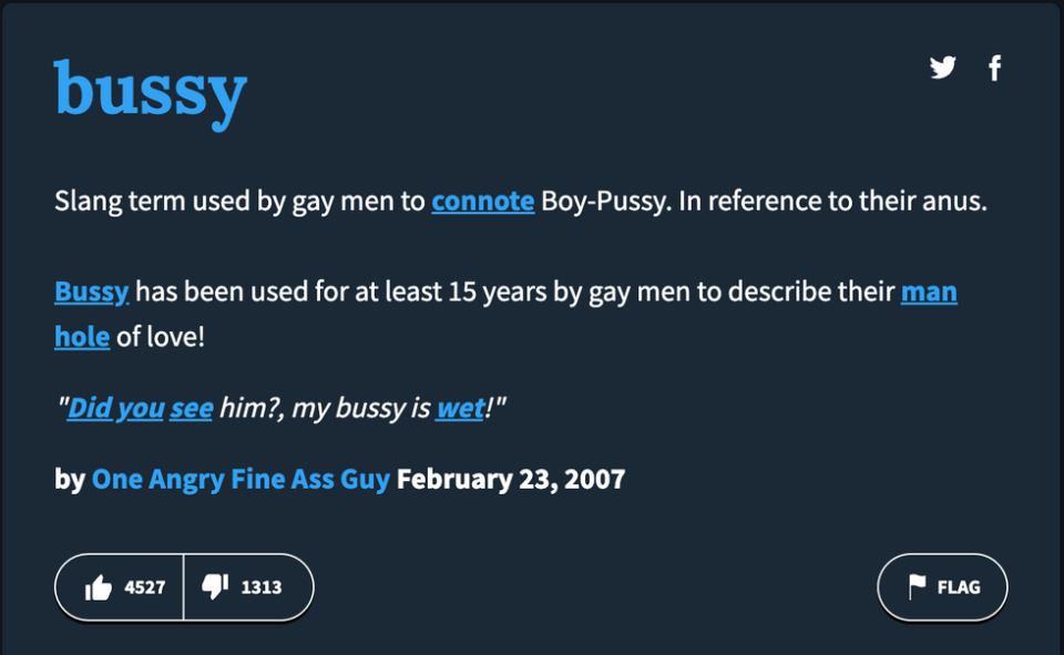 bussy definition urban dictionary