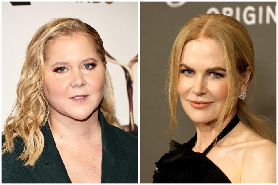 Amy Schumer (left) has come under fire for seemingly mocking Nicole Kidman (right) online  (Getty)