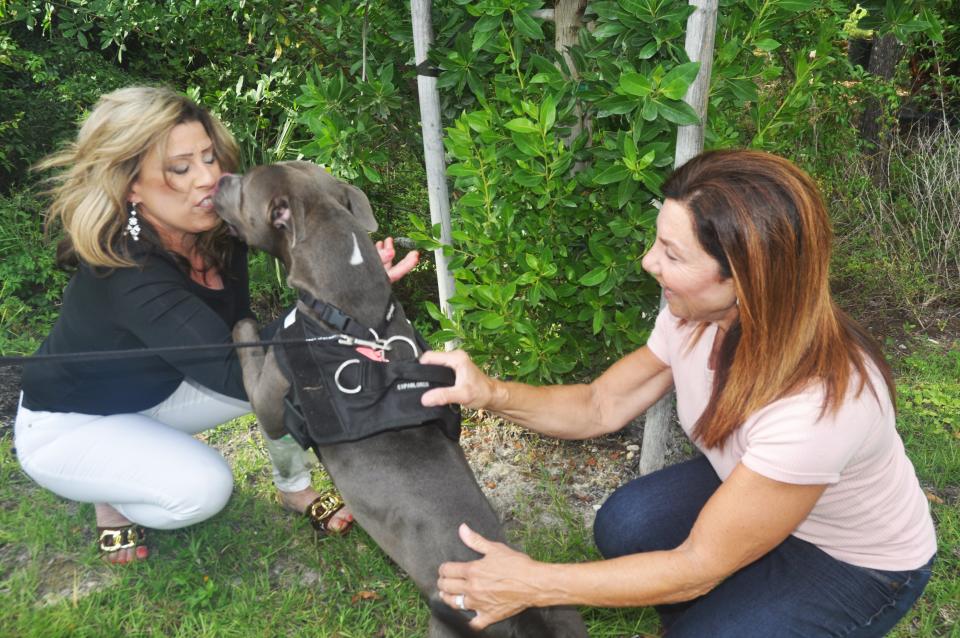 Marisa Barry and Christine Pence are two of Solin's Angels. The two, along with Kate Mindak, have helped this dog, that belonged to a homeless man, get out of the heat and have a better life.