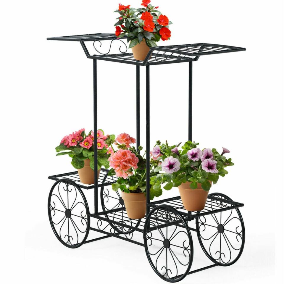 3) Harbaugh Plant Stand