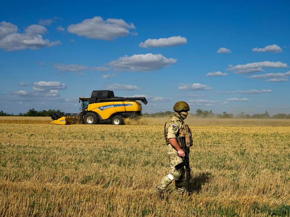 A Russian soldier guards a field as foreign journalists observe the wheat harvest near Melitopol in southern Ukraine last week. Canada collects a 35 per cent tariff on all Russian imports, including farm fertilizer shipments, in retaliation for Russia's invasion of Ukraine. (The Associated Press - image credit)