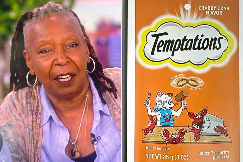 <p> ABC</p> Whoopi Goldberg Ate Cat Treats at 2 A.M.