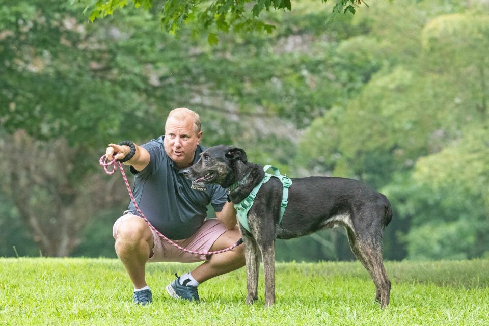 Real estate agent Michael Doyle from Bear instructs his adopted dog Ace on the grounds of the Humane Animal Partners (HAP) in Stanton/Christiana, Friday, Aug. 4, 2023. Ace had been adopted several times throughout his 942-day stay at HAP.