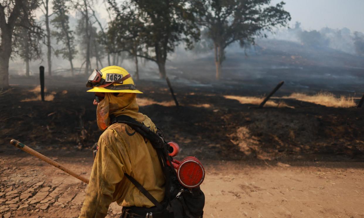 <span>A firefighter manages a fire line in Fresno County, California, last week. Fresno is likely to be one of the hottest cities in the US this week, with maximum temperatures exceeding 110F (43C).</span><span>Photograph: David Swanson/AFP/Getty Images</span>