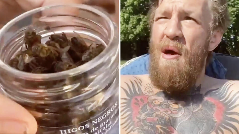 Conor McGregor (pictured right) chewing on a bee (pictured left).