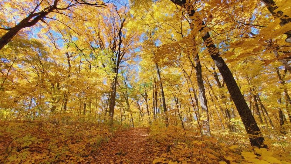 The Ice Age trail in the fall in Wisconsin