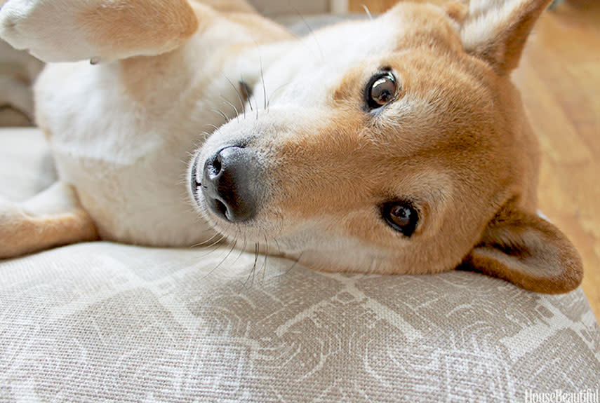 Belgian Linen Dog Bed