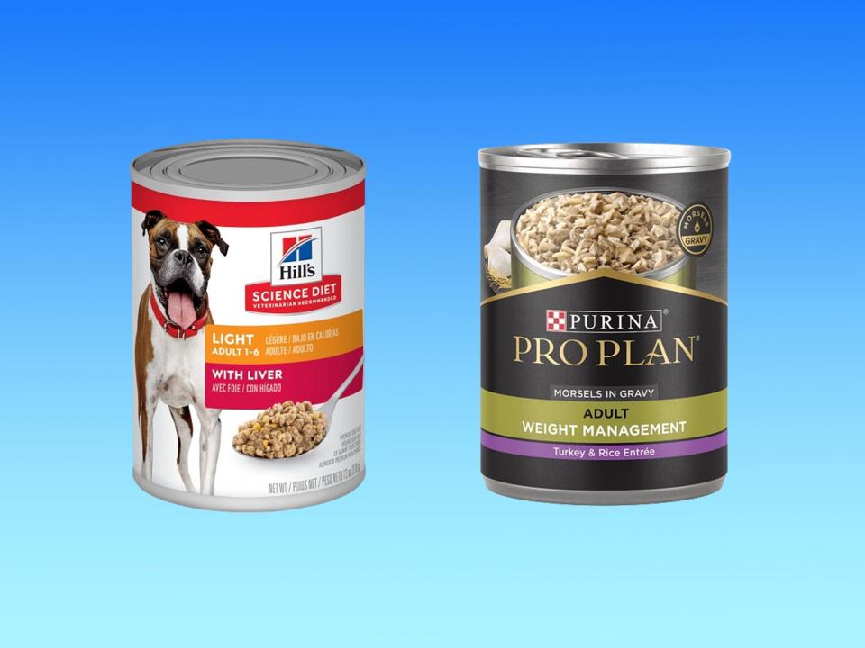 Two cans of wet dog food for weight loss from Hill's Pet and Purina are on a blue background.