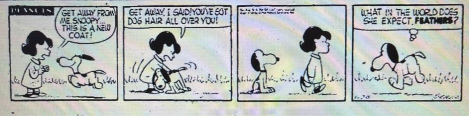 While this wasn't the first strip of his comic "Peanuts" that Charles Schulz drew, it was the first one The Canton Repository published in 1958.