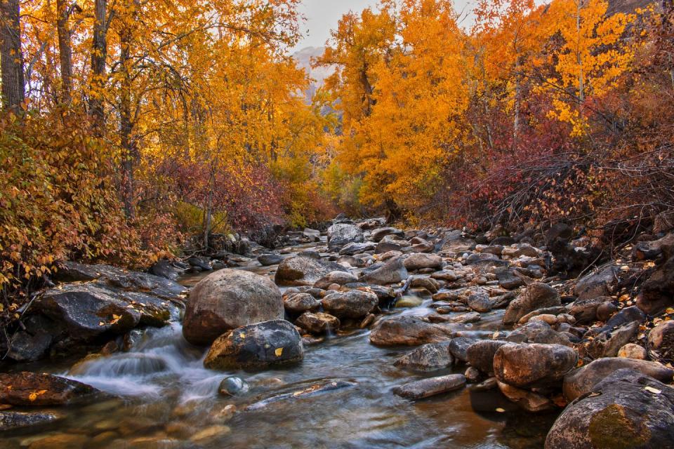 <p>A brook flows through the Ruby Mountains in Nevada.</p><p>Photo: Flickr/<a href="https://www.flickr.com/photos/107640324@N05/43849496460/in/photolist-29NQ8B3-aDKrLz-2bnuuBD-QQ5AQi-2dcE2aZ-2b4crtG-Z5hSm9-q6GCic-QQ5JjM-deC4Kj-2ciFnjn-dng1kH-M6ynv9-doGoFJ-24RoPZX-aD6zrx-29KjjYu-gunTZV-2f7dZ7R-ZxwU1q-VqxL9L-25e8PLp-PCk96M-QqfFvA-ZbK9A5-po2tRH-2czJutv-2cydNBG-q3erxP-ZAJrLm-pJMNSg-2d9LATo-ZZVNTY-2f3FxG2-NpKvXa-7rity8-pHDKyg-8LkhpM-2aWidwo-3d3jy2-8QfTjE-JL1Bmv-Z4tgBp-21hW4aL-pZRB3n-ZsQHp1-Qtt4mN-FSJHWD-H5FMqP-oLbK98" rel="nofollow noopener" target="_blank" data-ylk="slk:Intermountain Forest Service, USDA Region 4 Photography;elm:context_link;itc:0;sec:content-canvas" class="link ">Intermountain Forest Service, USDA Region 4 Photography</a></p>