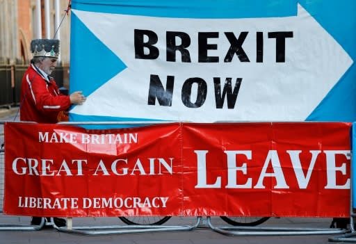 A pro-Brexit demonstrator outside the Supreme Court