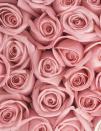 <p>Pale pink roses are delicate and lovely, but give a sweeter impression than darker hues. It's an elegant choice, perfect for a daughter, mother, or sister.</p><p><a class="link " href="https://www.amazon.com/Greenchoice-Flowers-delivery-Birthday-Artificial/dp/B072QKZJ9L/ref=sr_1_1_sspa?tag=syn-yahoo-20&ascsubtag=%5Bartid%7C10050.g.42694899%5Bsrc%7Cyahoo-us" rel="nofollow noopener" target="_blank" data-ylk="slk:Shop Now;elm:context_link;itc:0;sec:content-canvas">Shop Now</a></p>