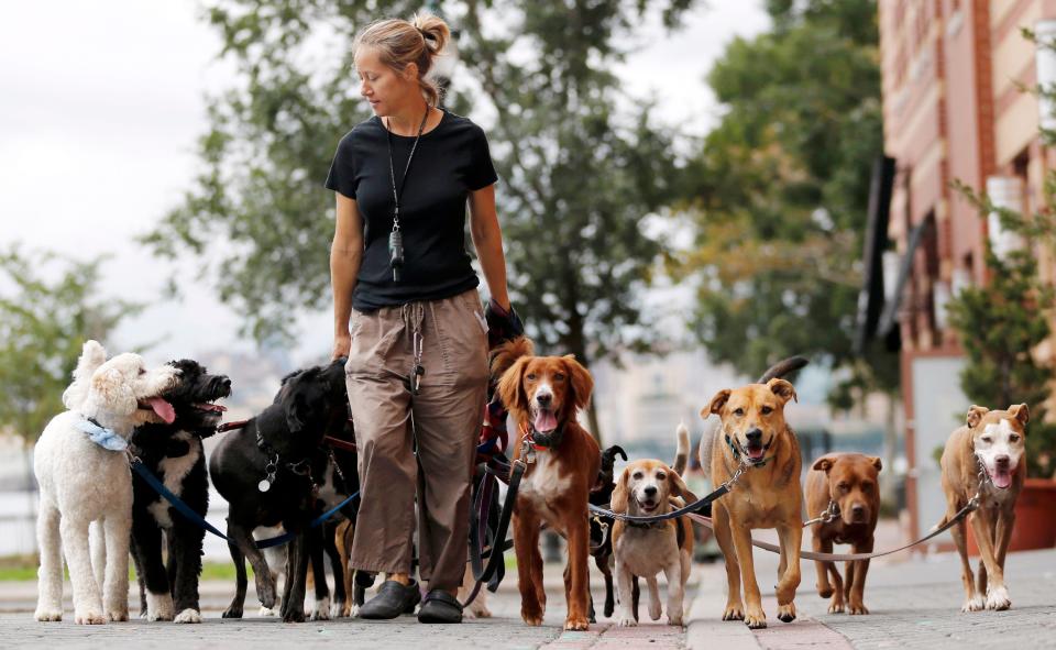 If you're a pet lover, perhaps being a dog walker could help bring in extra income.