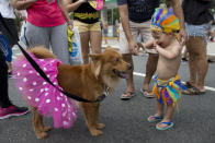 <p>Die Jecken sind zurück! Ob in Köln oder in Rio – überall werfen sich die Feierwütigen in ihre Kostüme. An der Copacabana gibt es sogar einen Karnevalsumzug für Hunde, den sogenannten “Blocao”. Der kleine Junge dürfte nicht der einzige sein, der den Hund im Tutu entzückend findet. (Bild: AP Photo) </p>