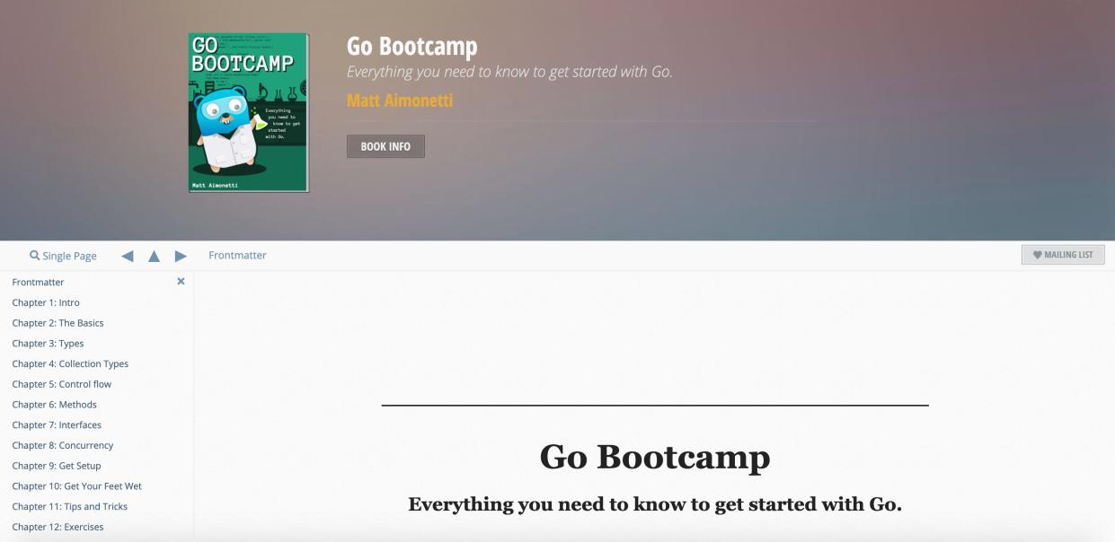 Golangbootcamp.com course