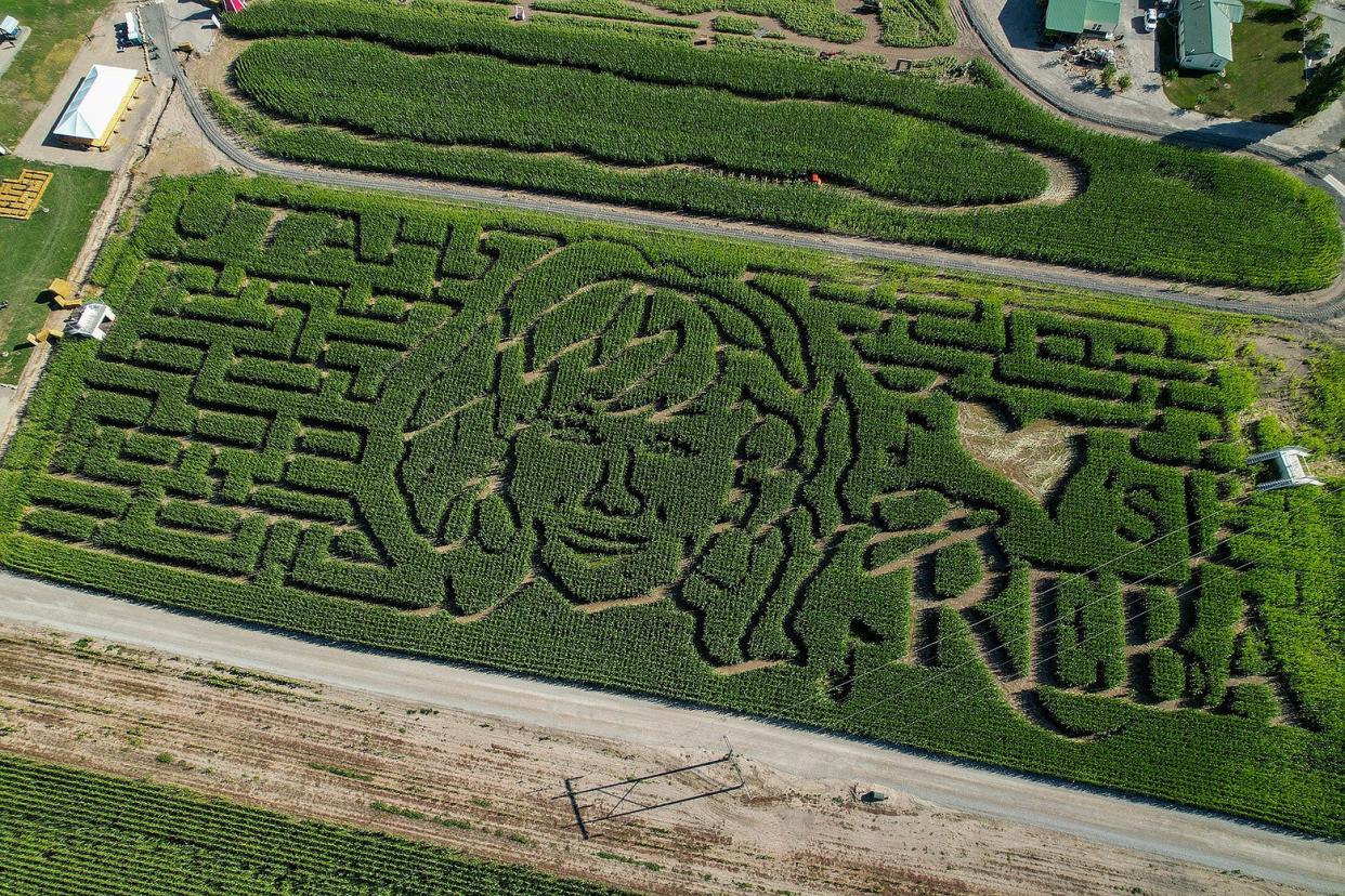 A corn maze as seen from above is a design of a woman's face and hair and has the name "Reba" next to it. 