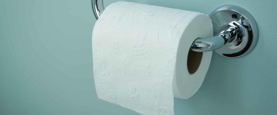 A white roll of soft toilet paper neatly hanging on a modern chrome holder on a light blue bathroom wall.